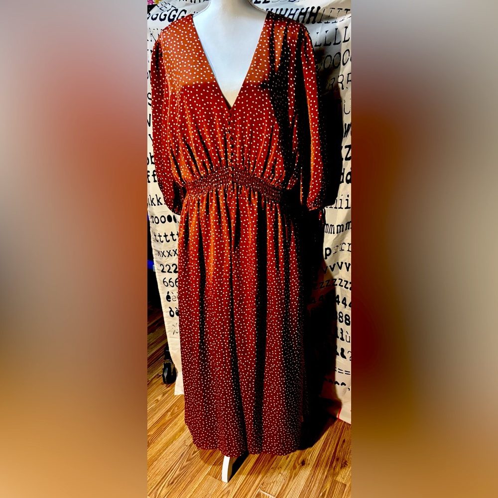 Brown Polk dot dress